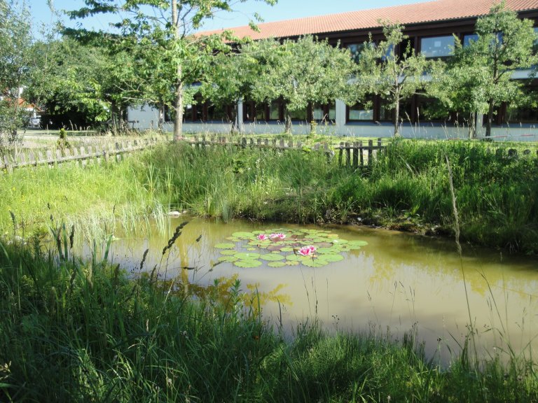 Grossansicht in neuem Fenster: Schule Jesenwang 2