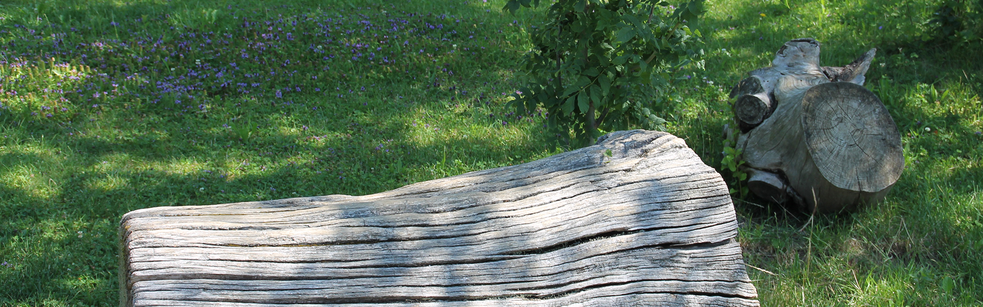 Header3 - Grundschule Jesenwang