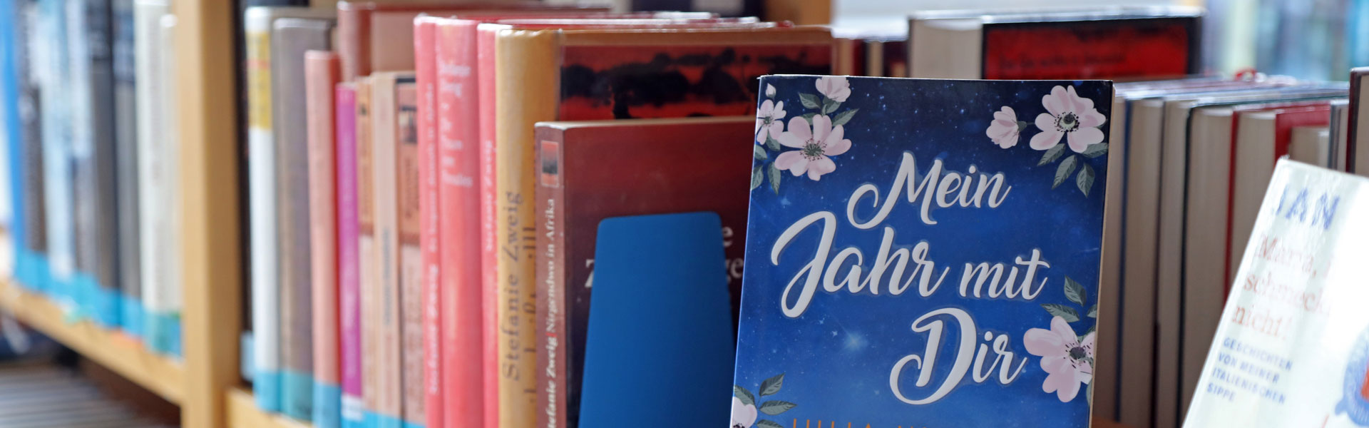 Header Mammendorf (019)