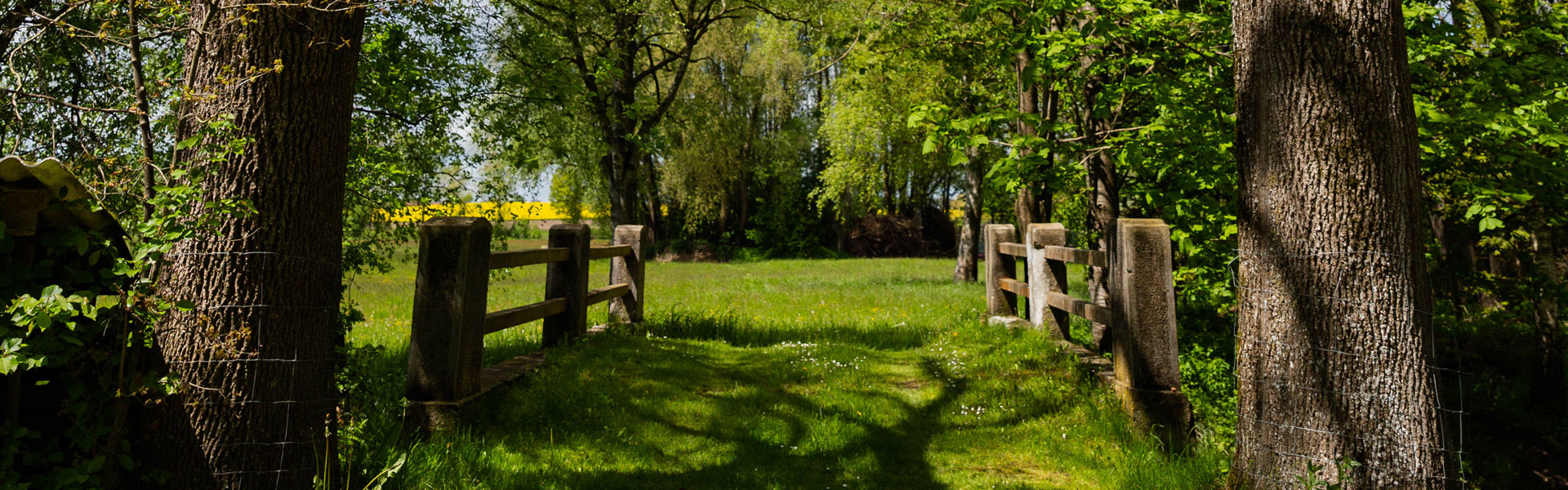 Header Adelshofen (006)