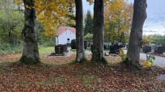 Baumbestattung Baumbestattung
