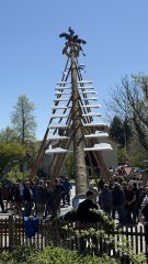 Maibaum_1 Maibaum_1